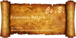 Csernoch Bálint névjegykártya