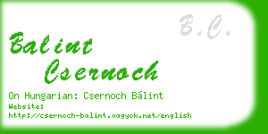 balint csernoch business card